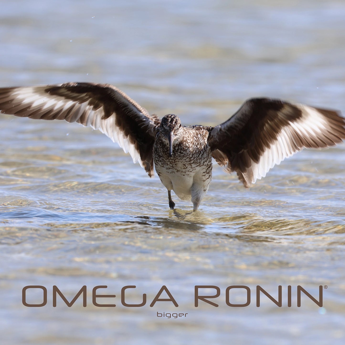 Omega Ronin: Bigger (song download)