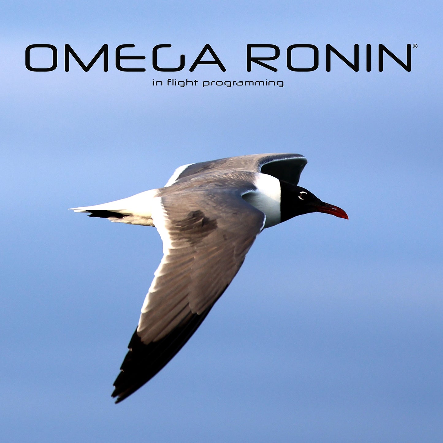 Omega Ronin: In Flight Programming (song download)