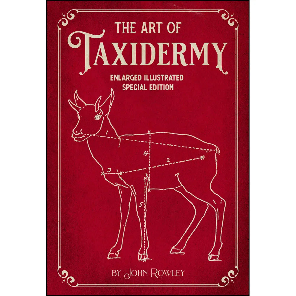 The Art of Taxidermy: Enlarged Illustrated Special Edition