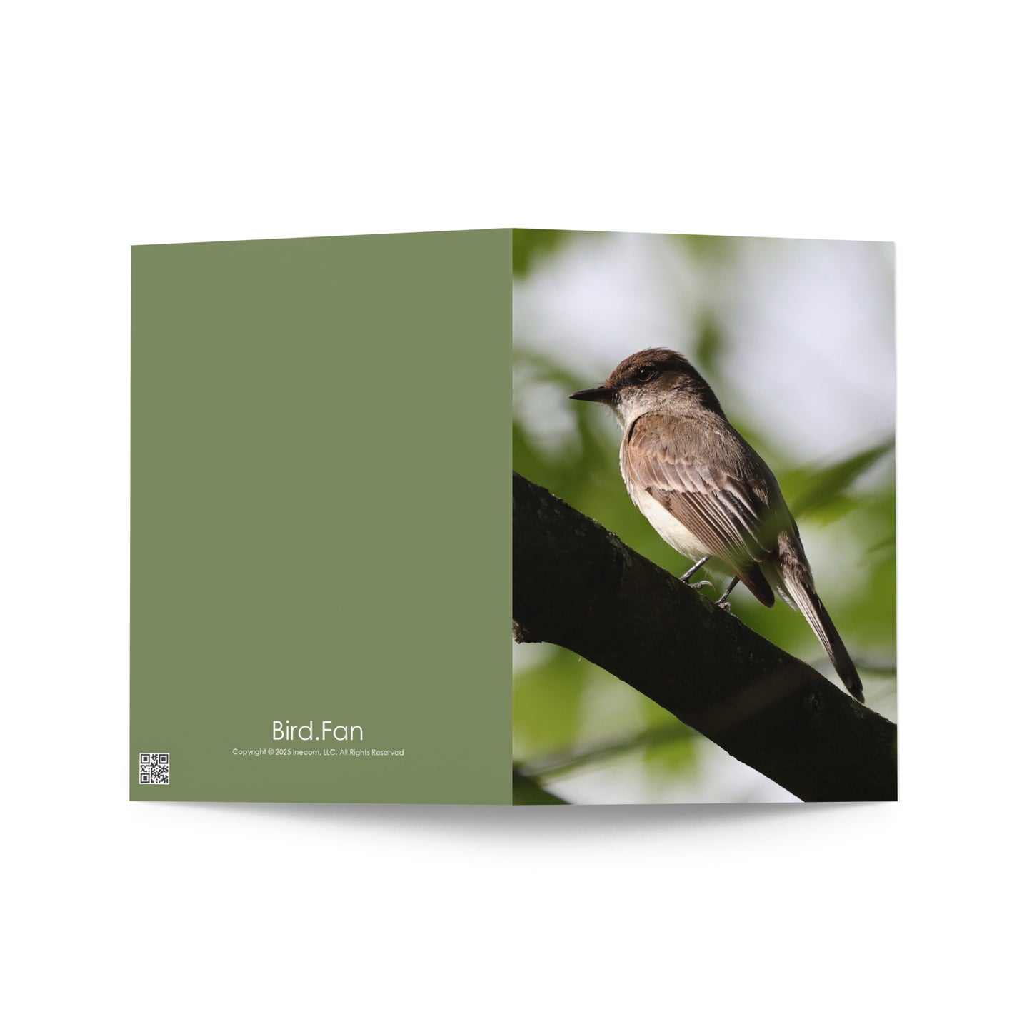 Bird Fan Greeting Card 5-Pack Set 1 | Five Cards 5" x 7" | Original Bird Photos | Wildlife Gift w/ Envelopes
