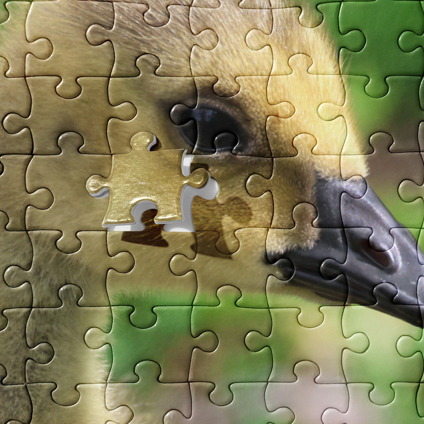 Baby Goose 520 Piece Jigsaw Puzzle | Original Bird Photography | by Bird.Fan