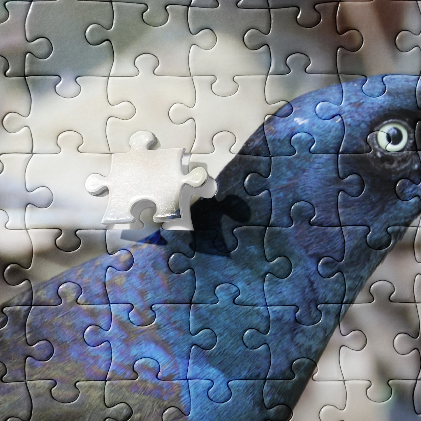 Common Grackle 520 Piece Jigsaw Puzzle | Original Bird Photography | by Bird.Fan