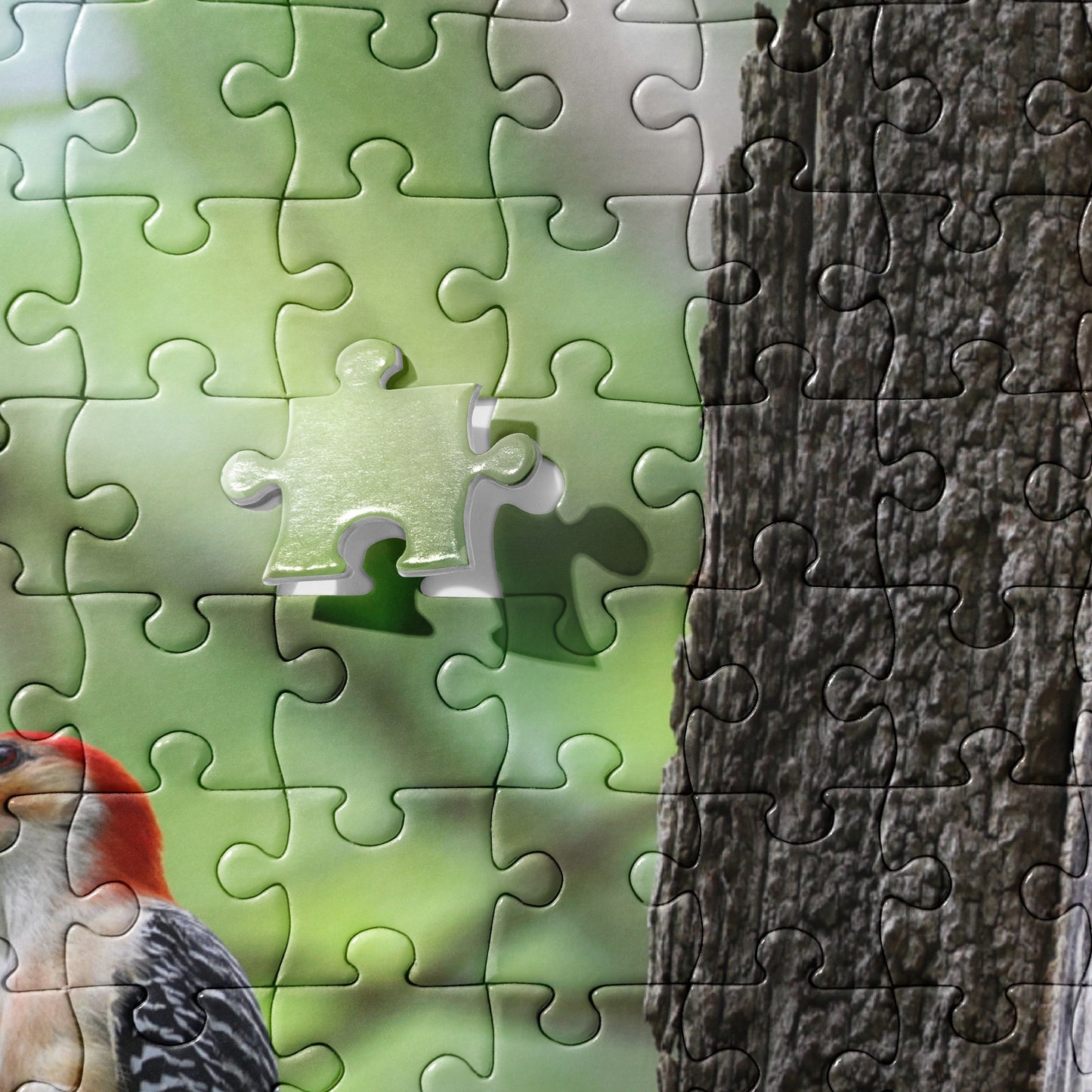 Red-Bellied Woodpecker 520 Piece Jigsaw Puzzle | Original Bird Photography | by Bird.Fan