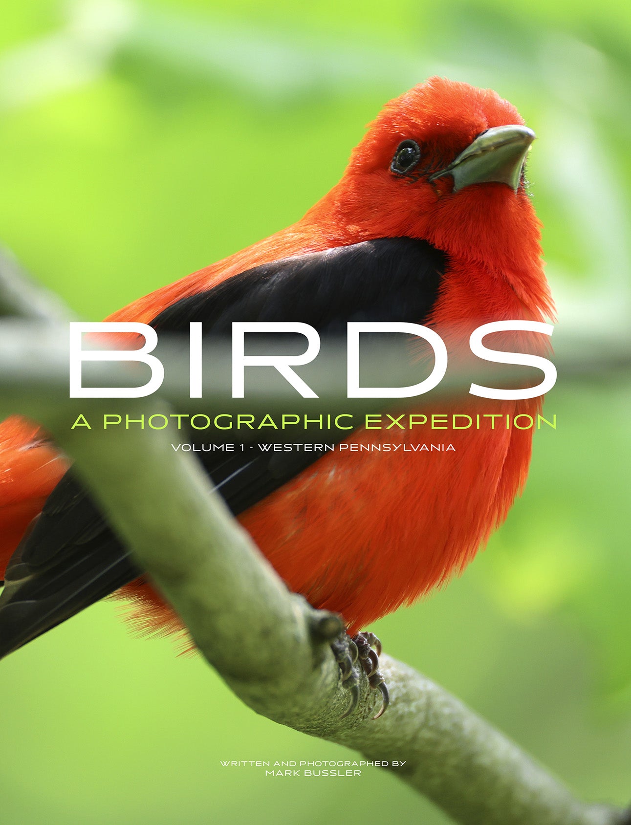 Birds: A Photographic Expedition Volume 1 - Western Pennsylvania