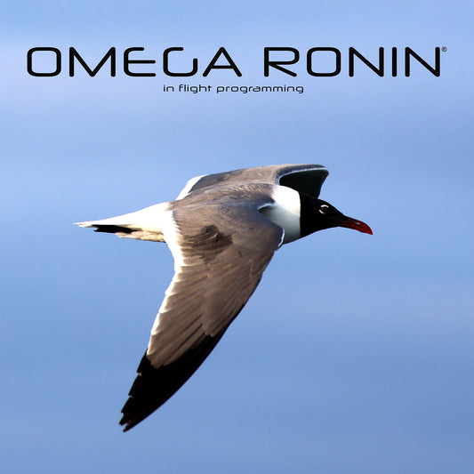 Omega Ronin: In Flight Programming (song download)