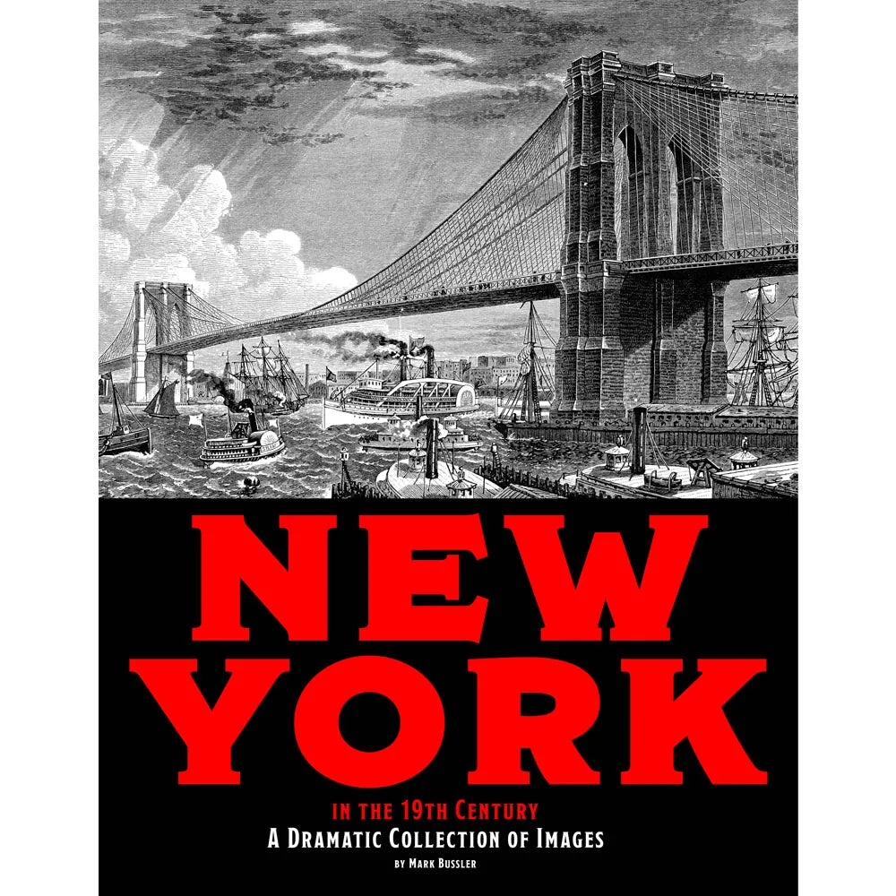 New York in the 19th Century: A Dramatic Collection of Images