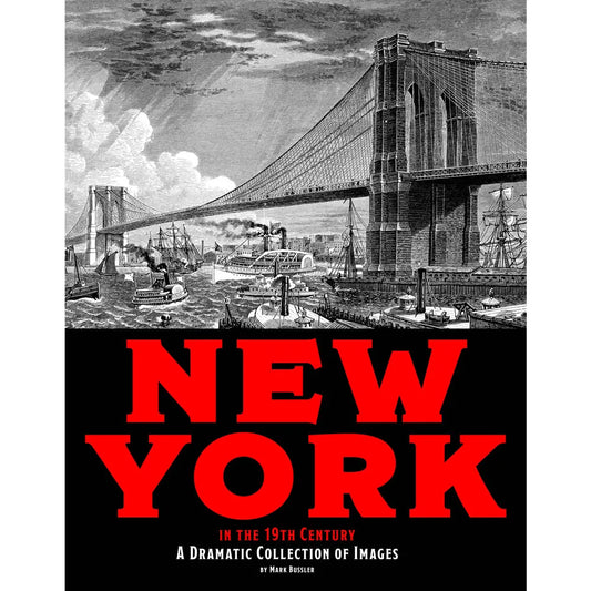 New York in the 19th Century: A Dramatic Collection of Images
