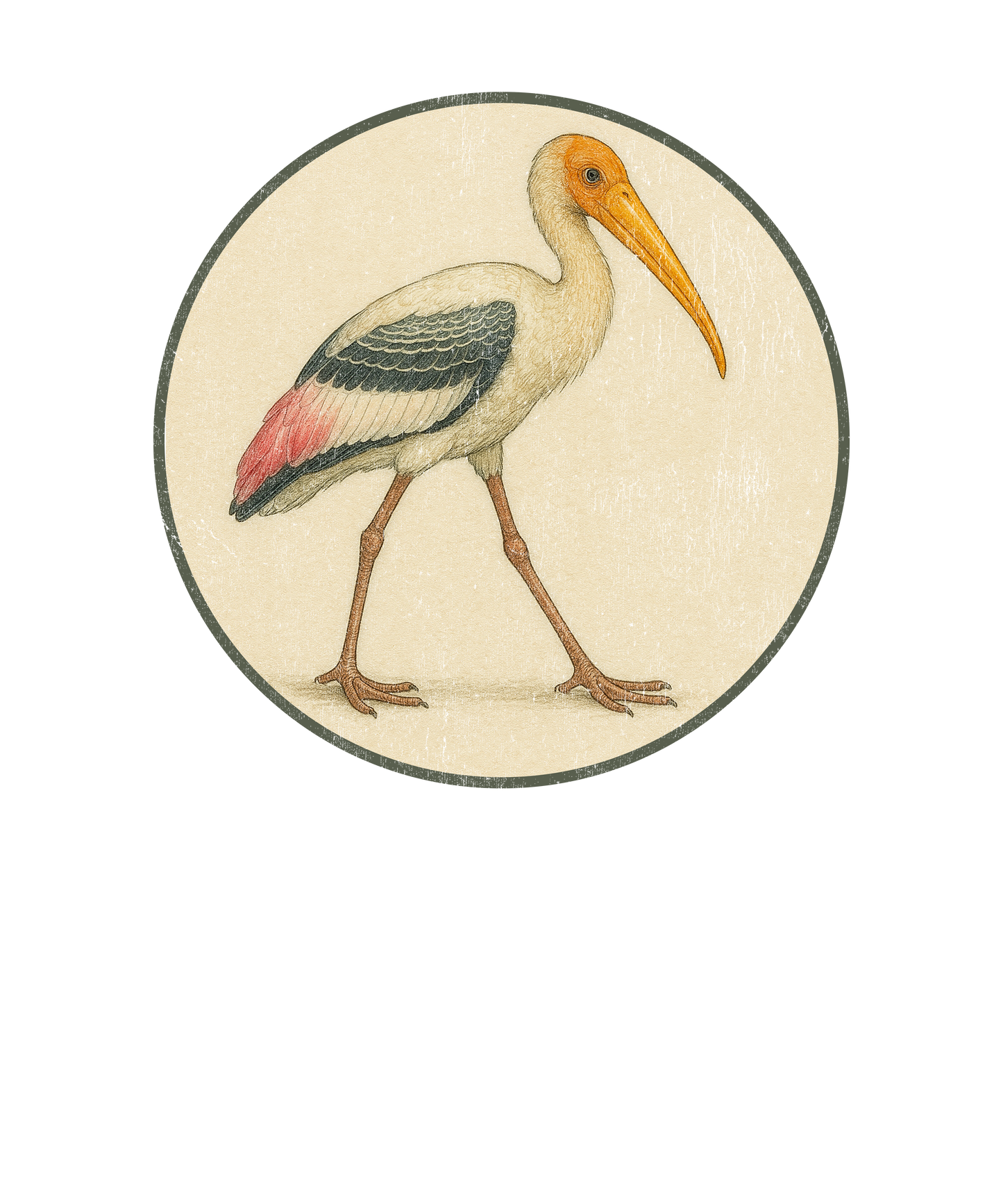 Painted Stork T-Shirt Retro Design by Bird.fan