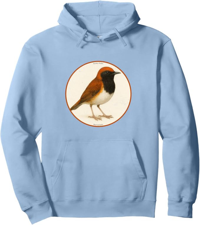 Retro Ryukyu Robin Hoodie – Vintage Bird Design Sweatshirt