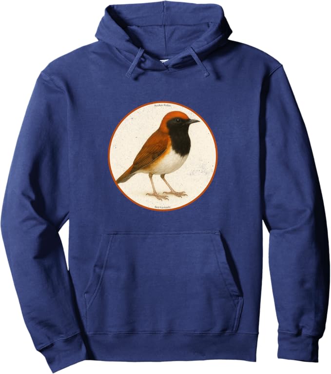 Retro Ryukyu Robin Hoodie – Vintage Bird Design Sweatshirt
