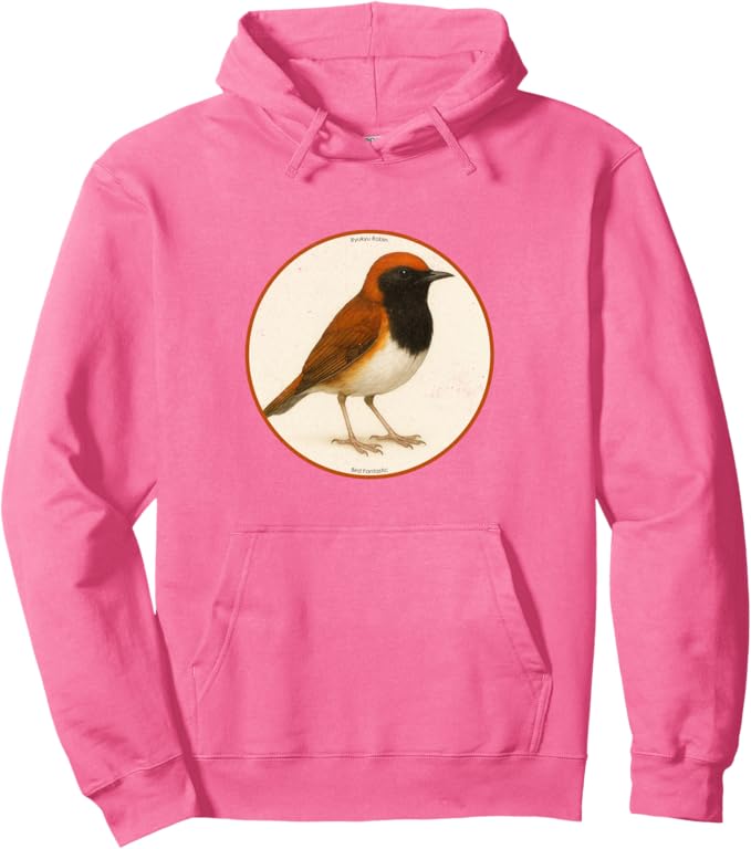 Retro Ryukyu Robin Hoodie – Vintage Bird Design Sweatshirt