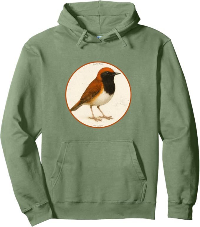 Retro Ryukyu Robin Hoodie – Vintage Bird Design Sweatshirt
