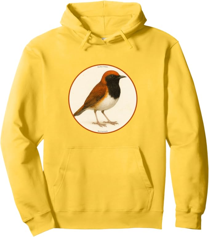 Retro Ryukyu Robin Hoodie – Vintage Bird Design Sweatshirt