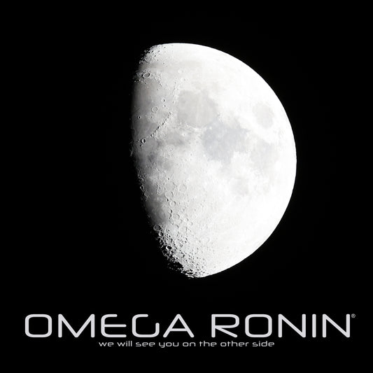 Omega Ronin: We Will See You on the Other Side (digital EP album download)