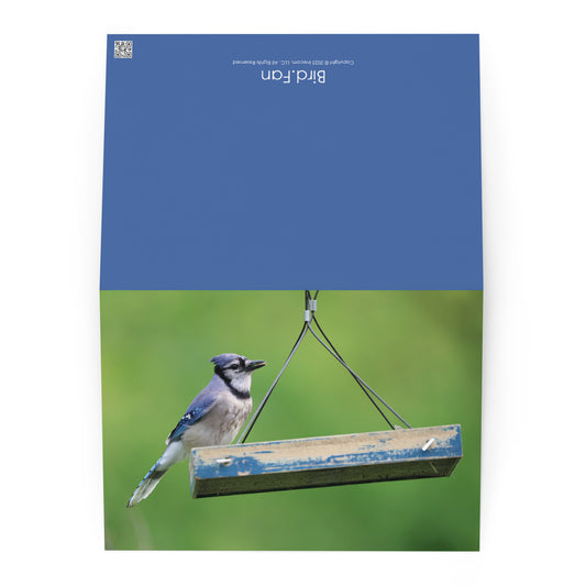 Bird Fan Greeting Card 5-Pack Set 1 | Five Cards 5" x 7" | Original Bird Photos | Wildlife Gift w/ Envelopes