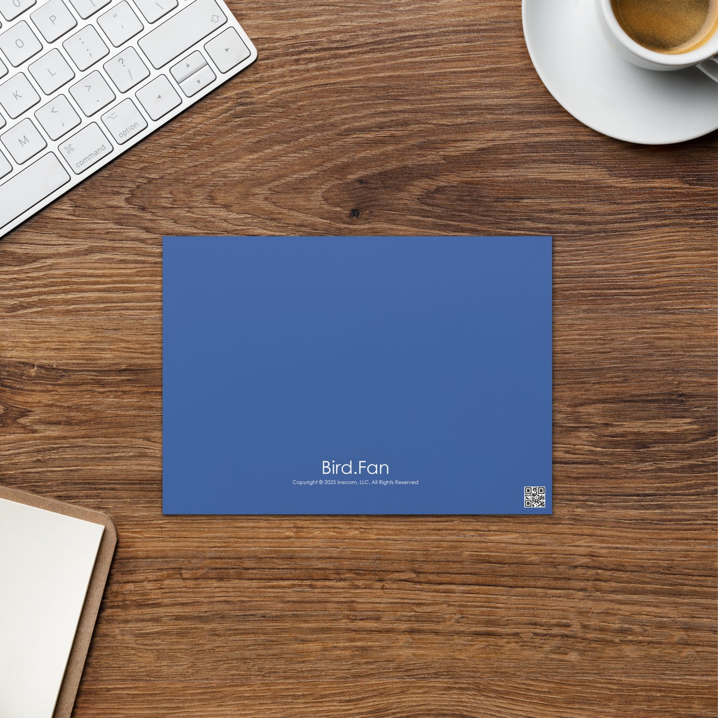 Blue Jay Greeting Card 5" x 7" | Original Bird Photography | Wildlife Gift w/ Envelope