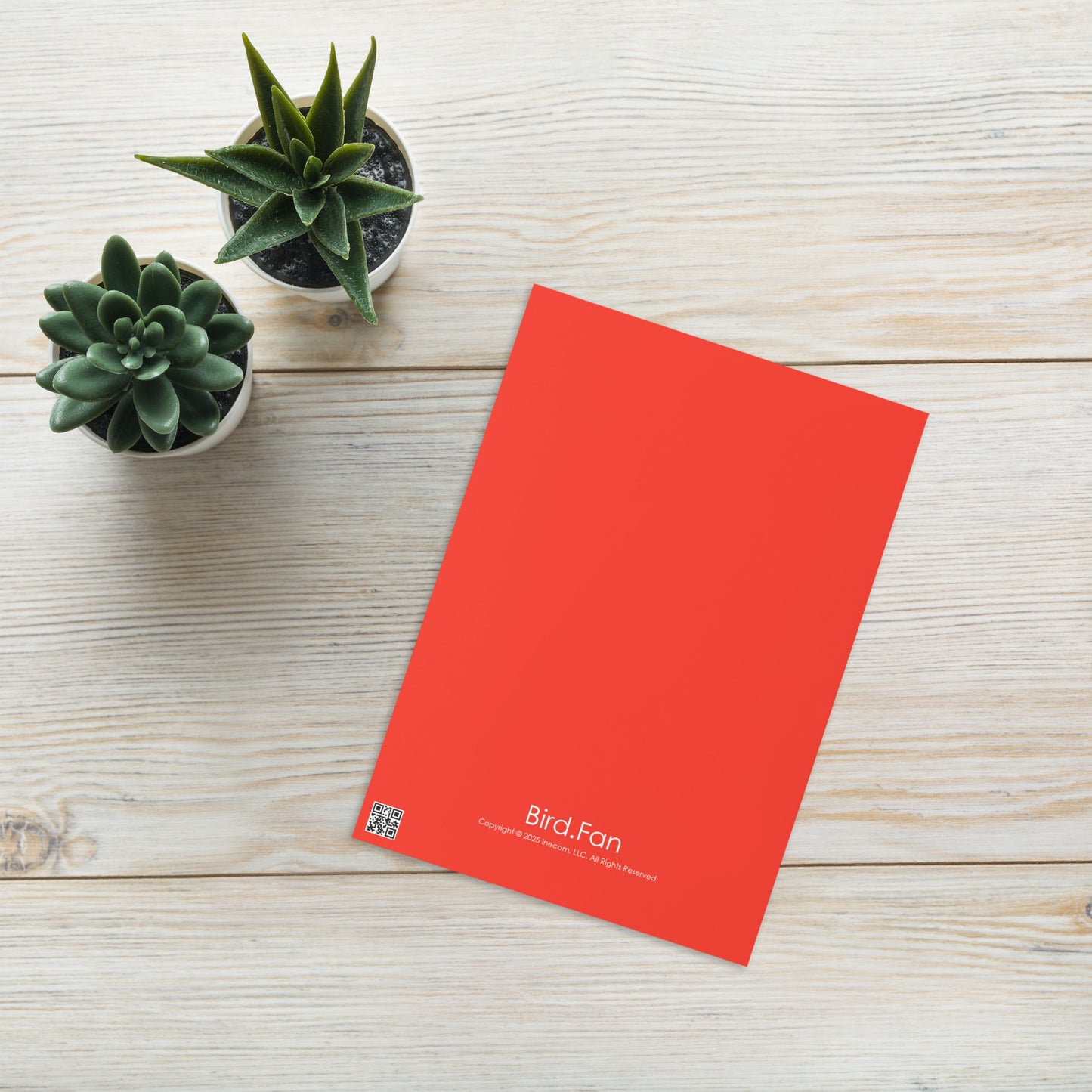 Red-Bellied Woodpecker Greeting Card 5" x 7" | Original Bird Photography | Wildlife Gift w/ Envelope