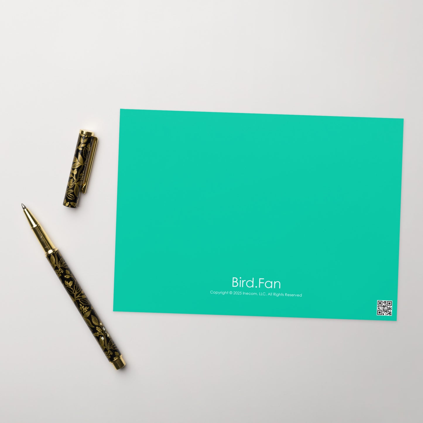 Seagull Greeting Card 5" x 7" | Original Bird Photography | Wildlife Gift w/ Envelope