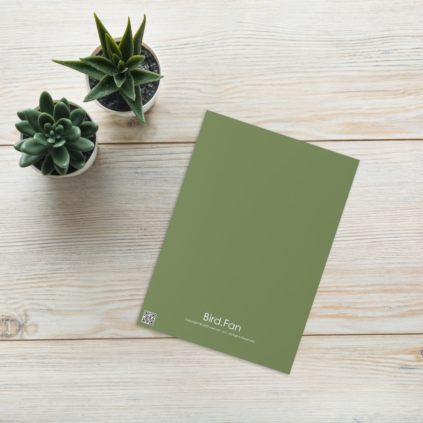 Eastern Phoebe Greeting Card 5" x 7" | Original Bird Photography | Wildlife Gift w/ Envelope