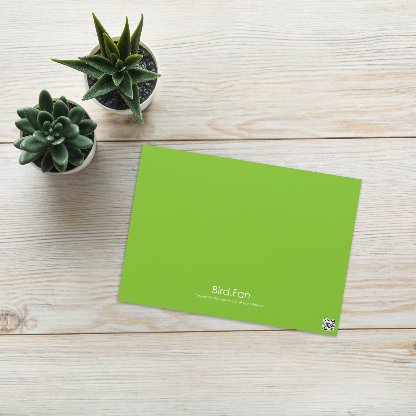 Mourning Dove Greeting Card 5" x 7" | Original Bird Photography | Wildlife Gift w/ Envelope