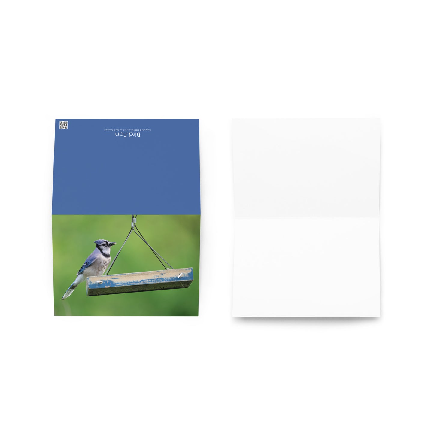 Blue Jay Greeting Card 5" x 7" | Original Bird Photography | Wildlife Gift w/ Envelope