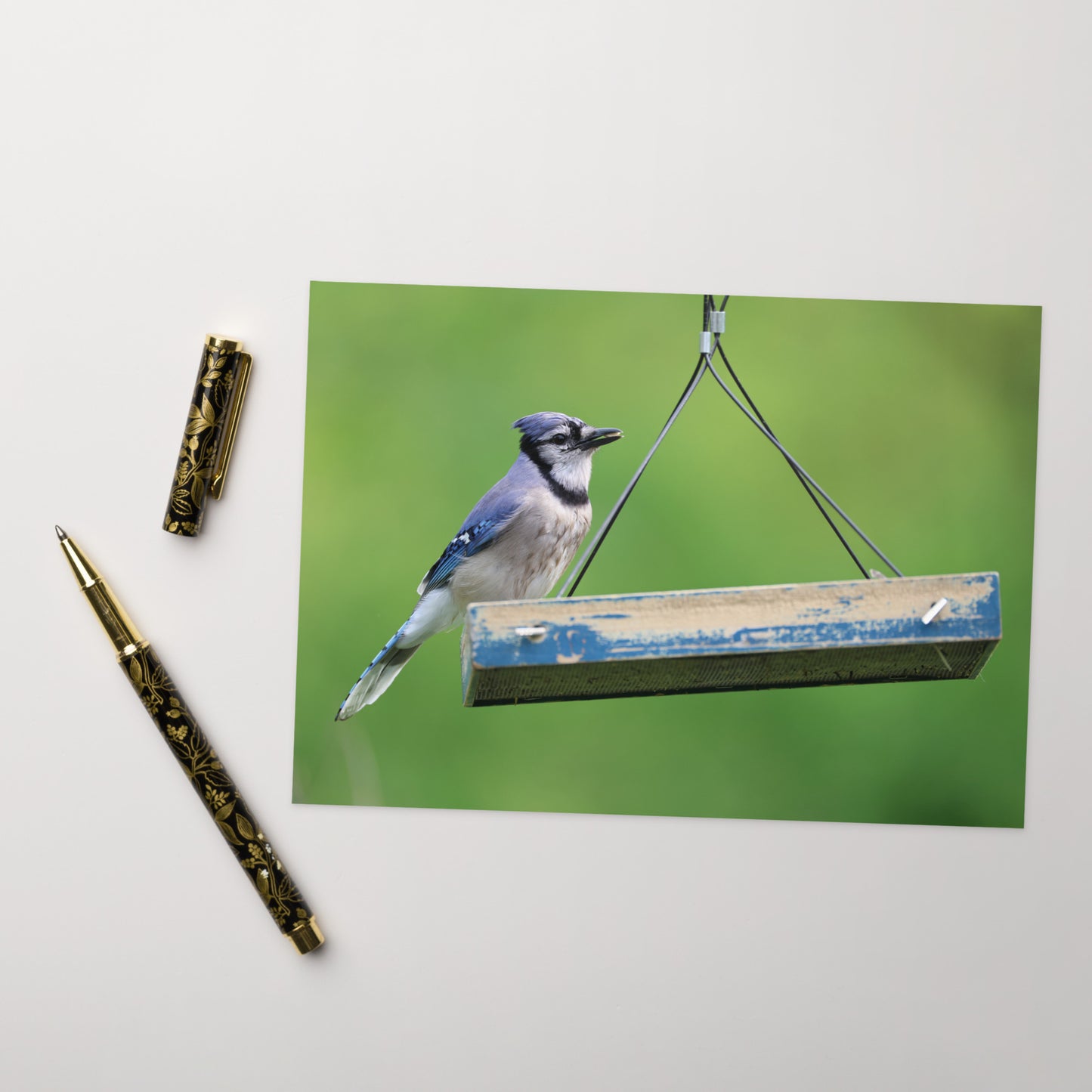 Blue Jay Greeting Card 5" x 7" | Original Bird Photography | Wildlife Gift w/ Envelope