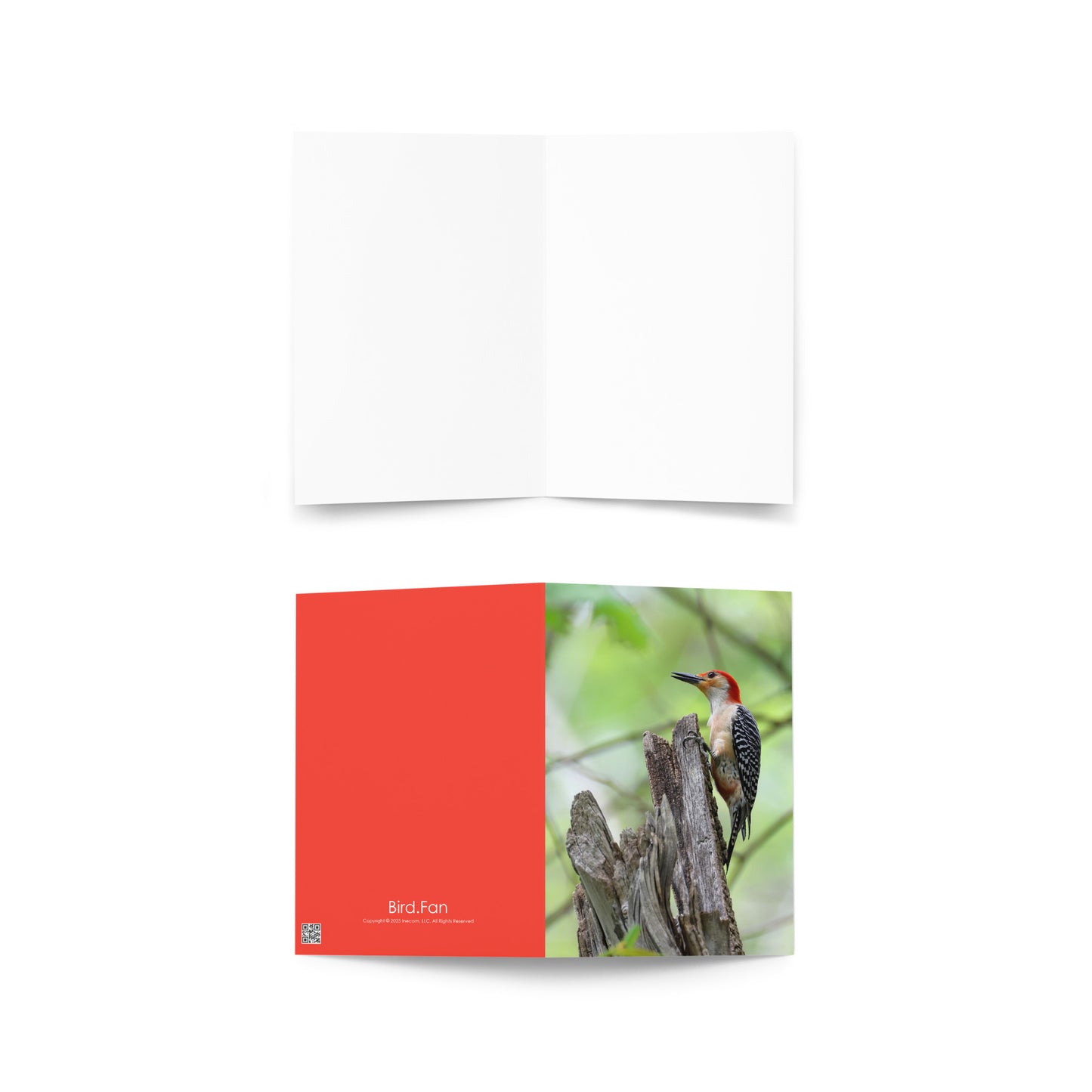 Red-Bellied Woodpecker Greeting Card 5" x 7" | Original Bird Photography | Wildlife Gift w/ Envelope