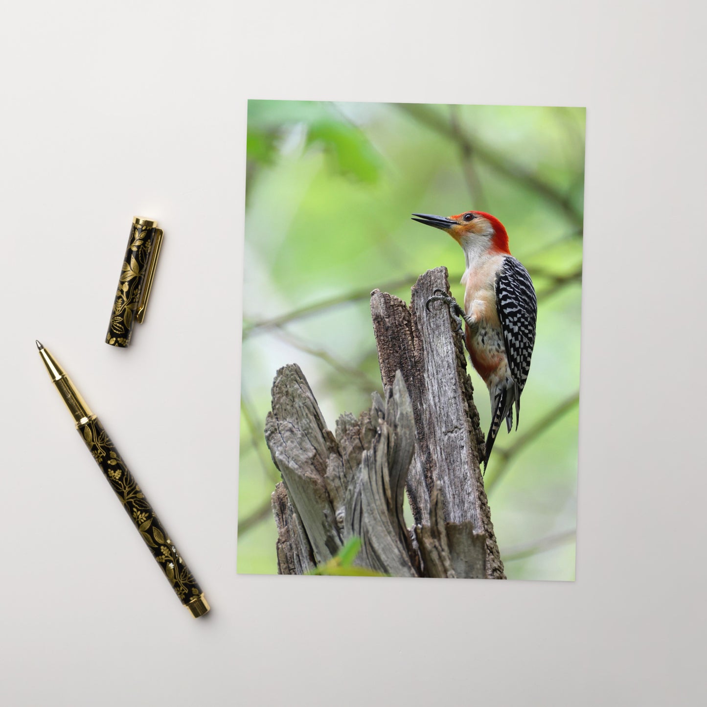 Red-Bellied Woodpecker Greeting Card 5" x 7" | Original Bird Photography | Wildlife Gift w/ Envelope