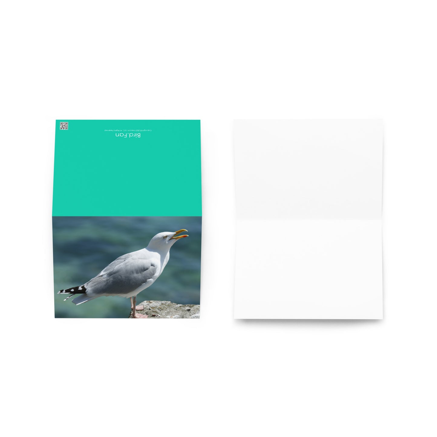 Seagull Greeting Card 5" x 7" | Original Bird Photography | Wildlife Gift w/ Envelope