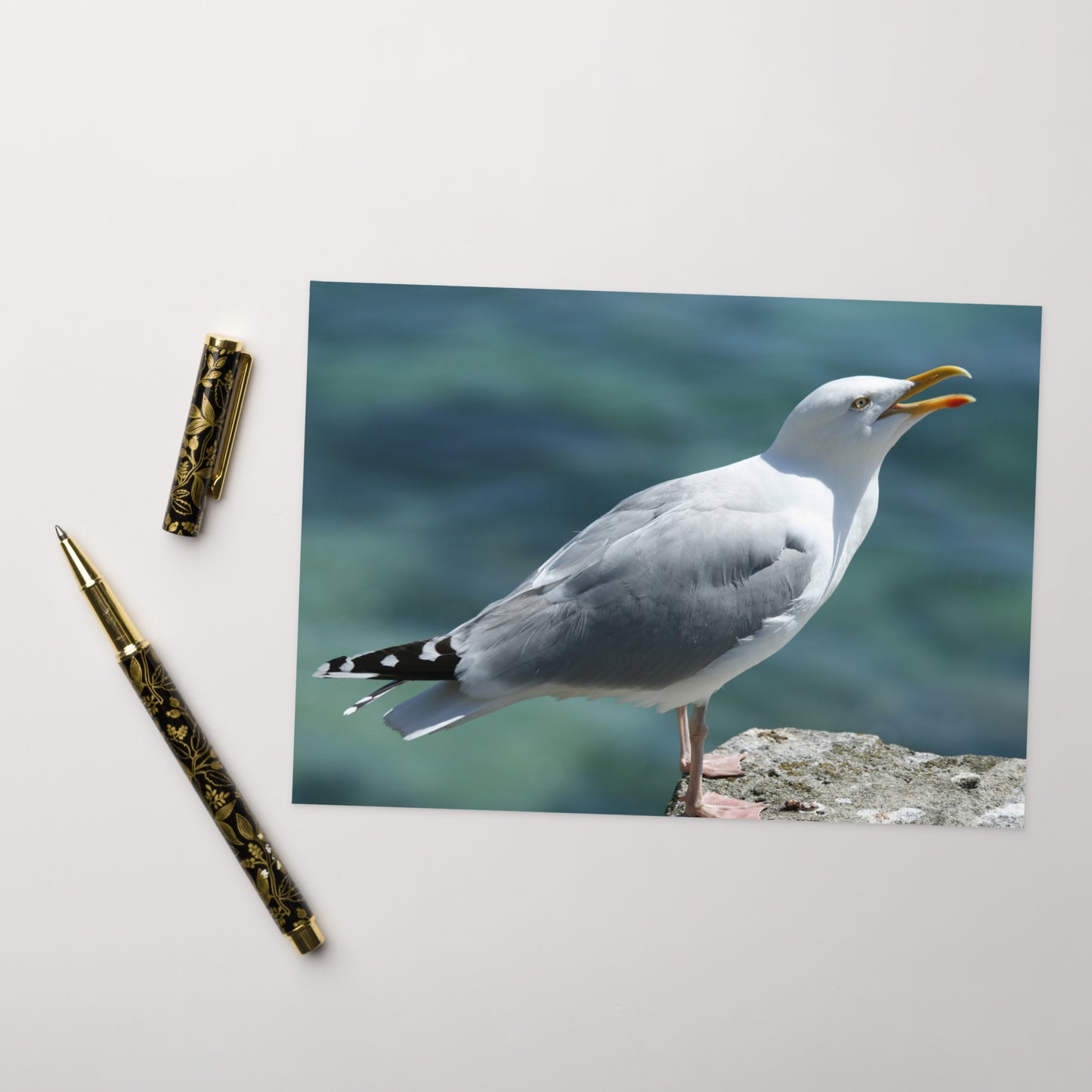 Seagull Greeting Card 5" x 7" | Original Bird Photography | Wildlife Gift w/ Envelope