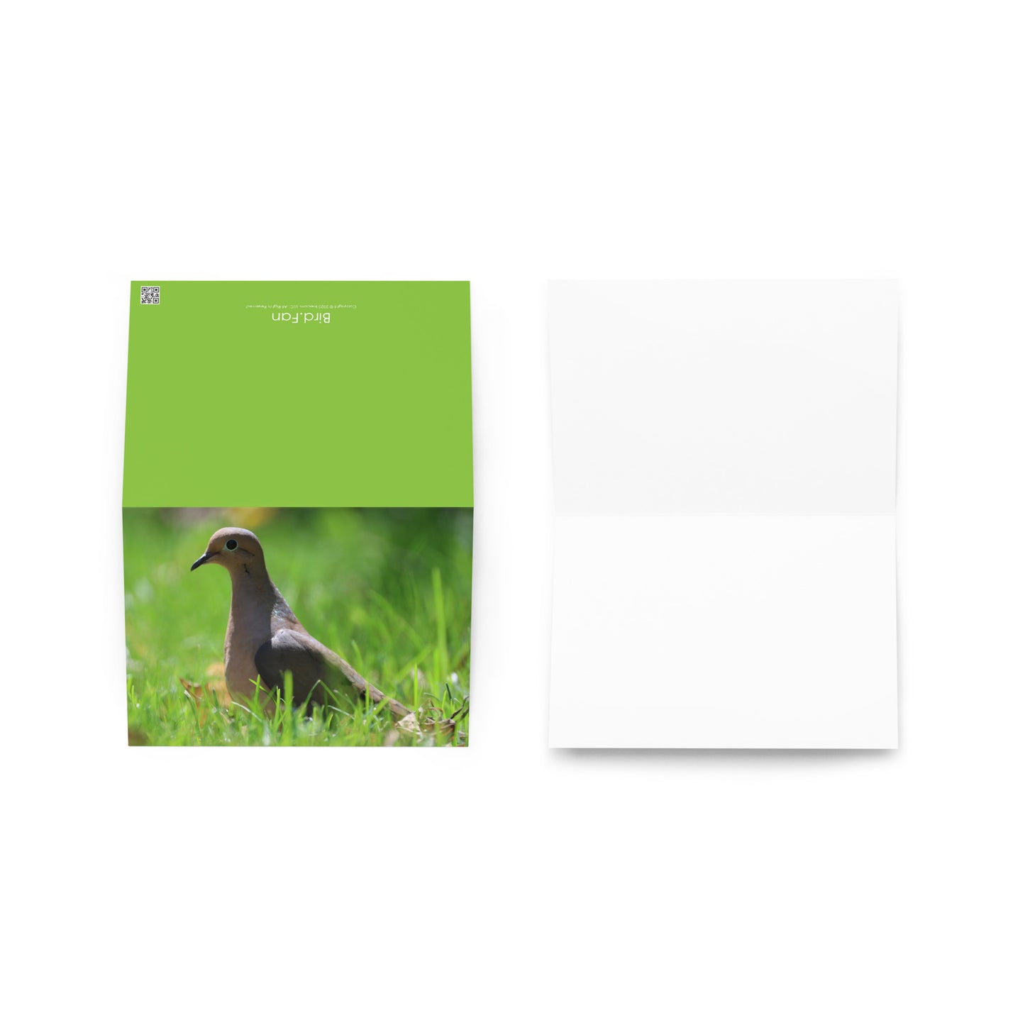 Mourning Dove Greeting Card 5" x 7" | Original Bird Photography | Wildlife Gift w/ Envelope