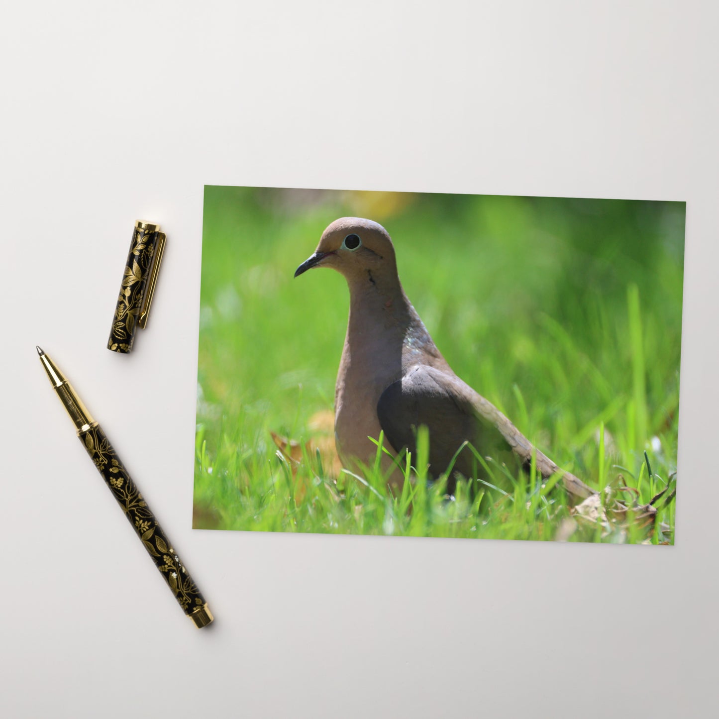 Mourning Dove Greeting Card 5" x 7" | Original Bird Photography | Wildlife Gift w/ Envelope