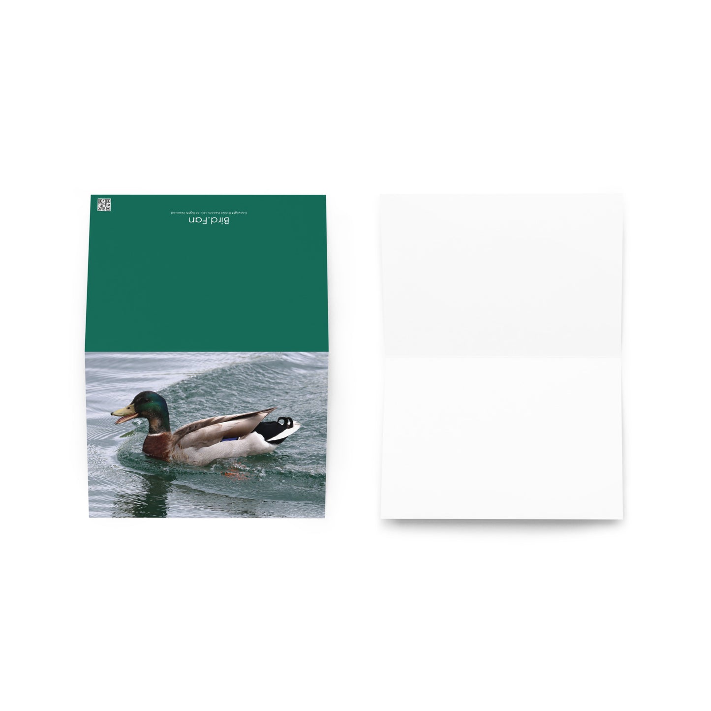 Mallard Duck Greeting Card 5" x 7" | Original Bird Photography | Wildlife Gift w/ Envelope