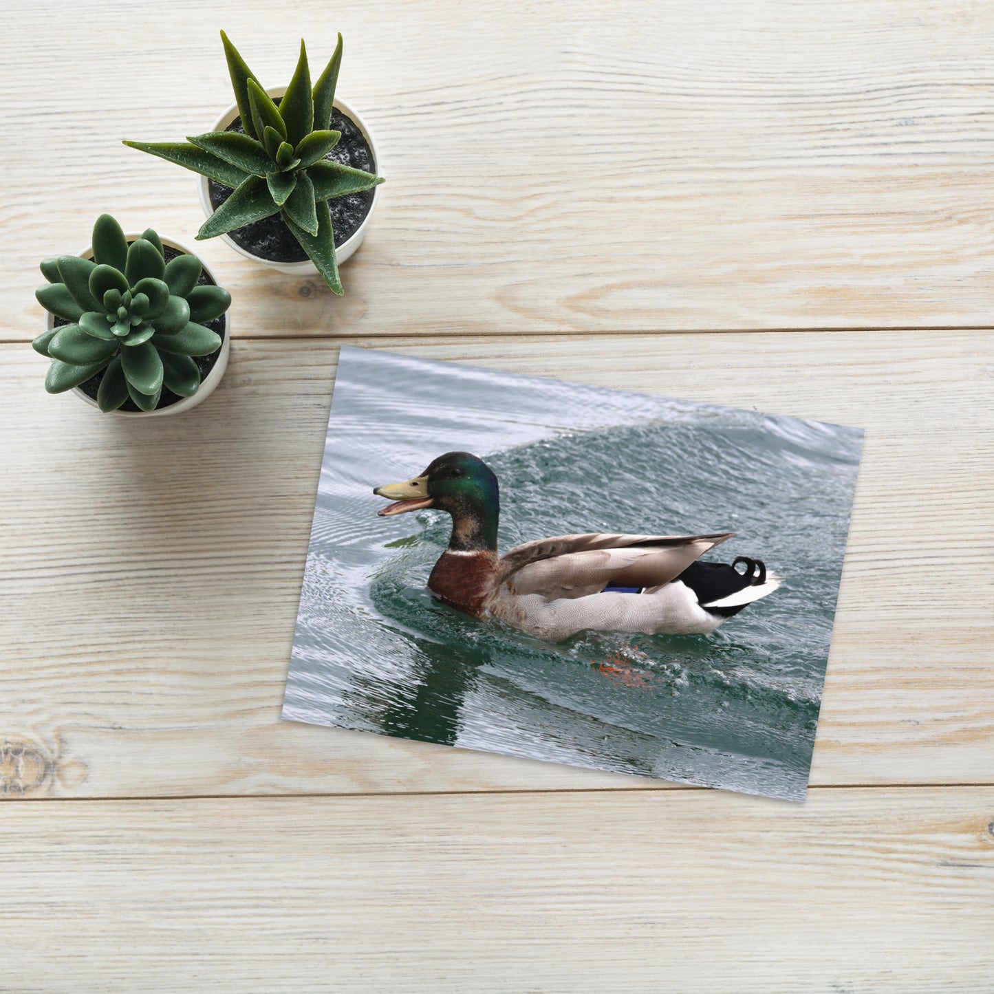 Mallard Duck Greeting Card 5" x 7" | Original Bird Photography | Wildlife Gift w/ Envelope