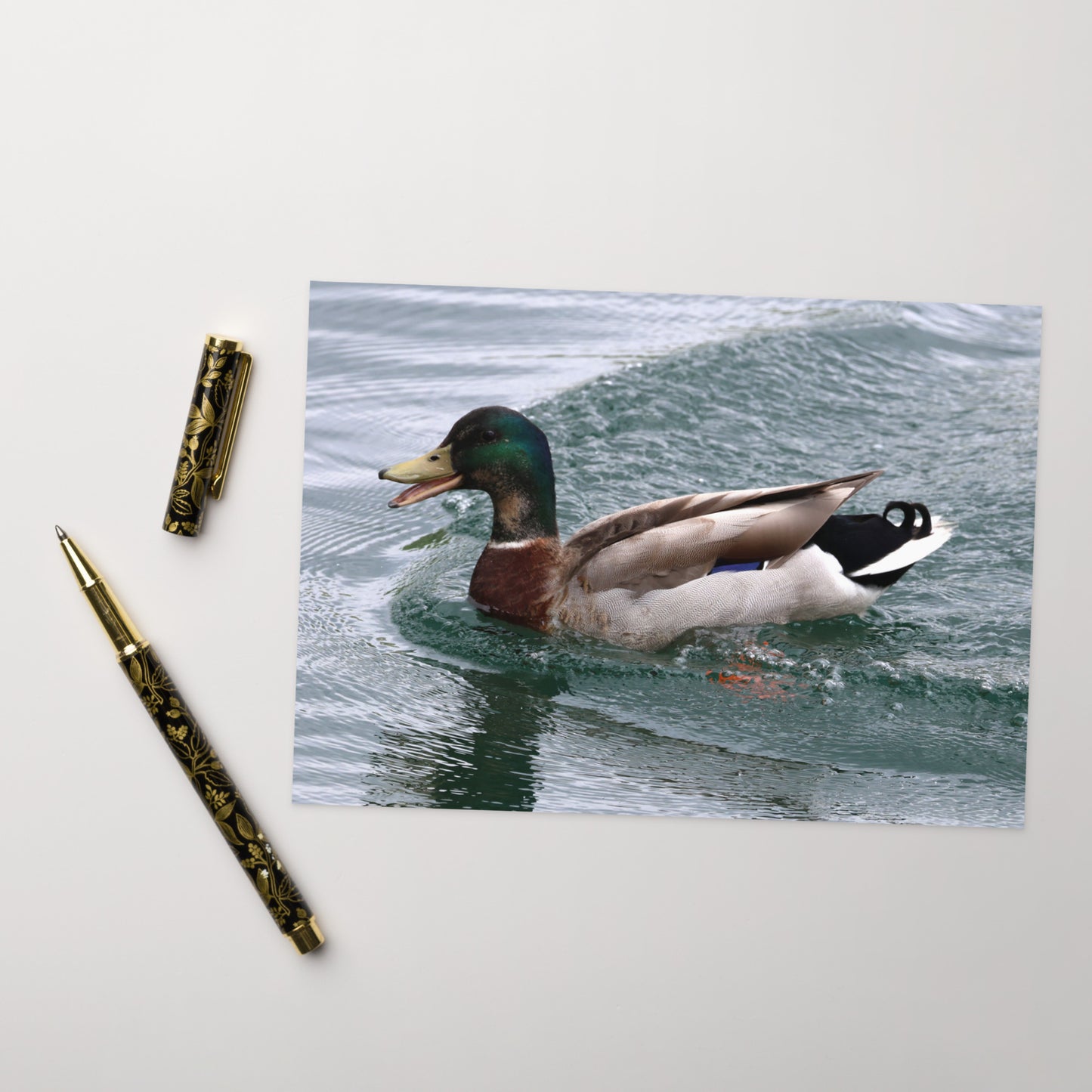 Mallard Duck Greeting Card 5" x 7" | Original Bird Photography | Wildlife Gift w/ Envelope