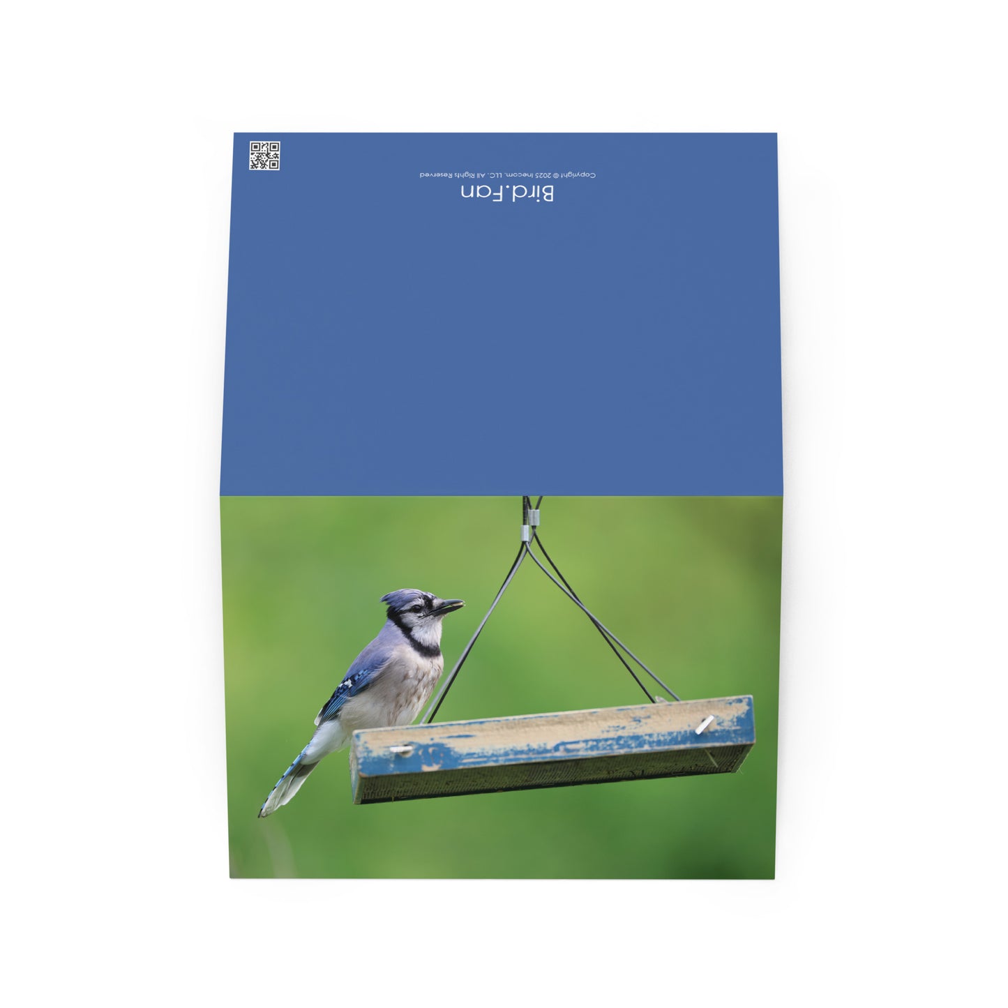 Blue Jay Greeting Card 5" x 7" | Original Bird Photography | Wildlife Gift w/ Envelope