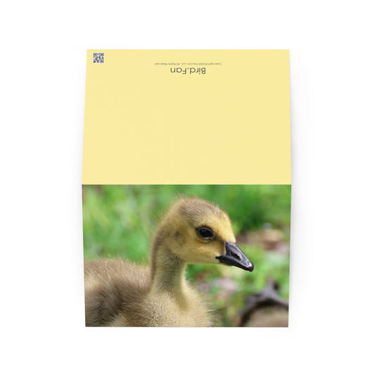 Baby Goose Greeting Card 5" x 7" | Original Bird Photography | Wildlife Gift w/ Envelope