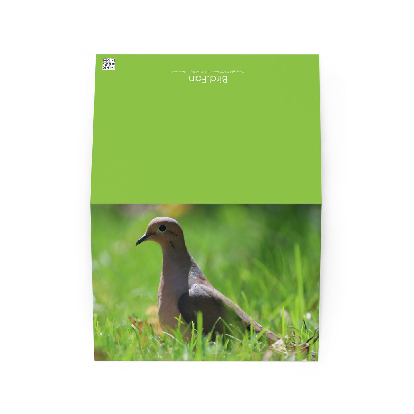 Mourning Dove Greeting Card 5" x 7" | Original Bird Photography | Wildlife Gift w/ Envelope