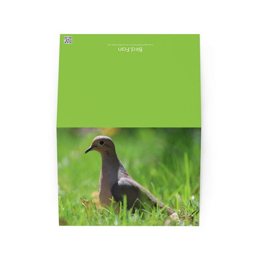 Mourning Dove Greeting Card 5" x 7" | Original Bird Photography | Wildlife Gift w/ Envelope