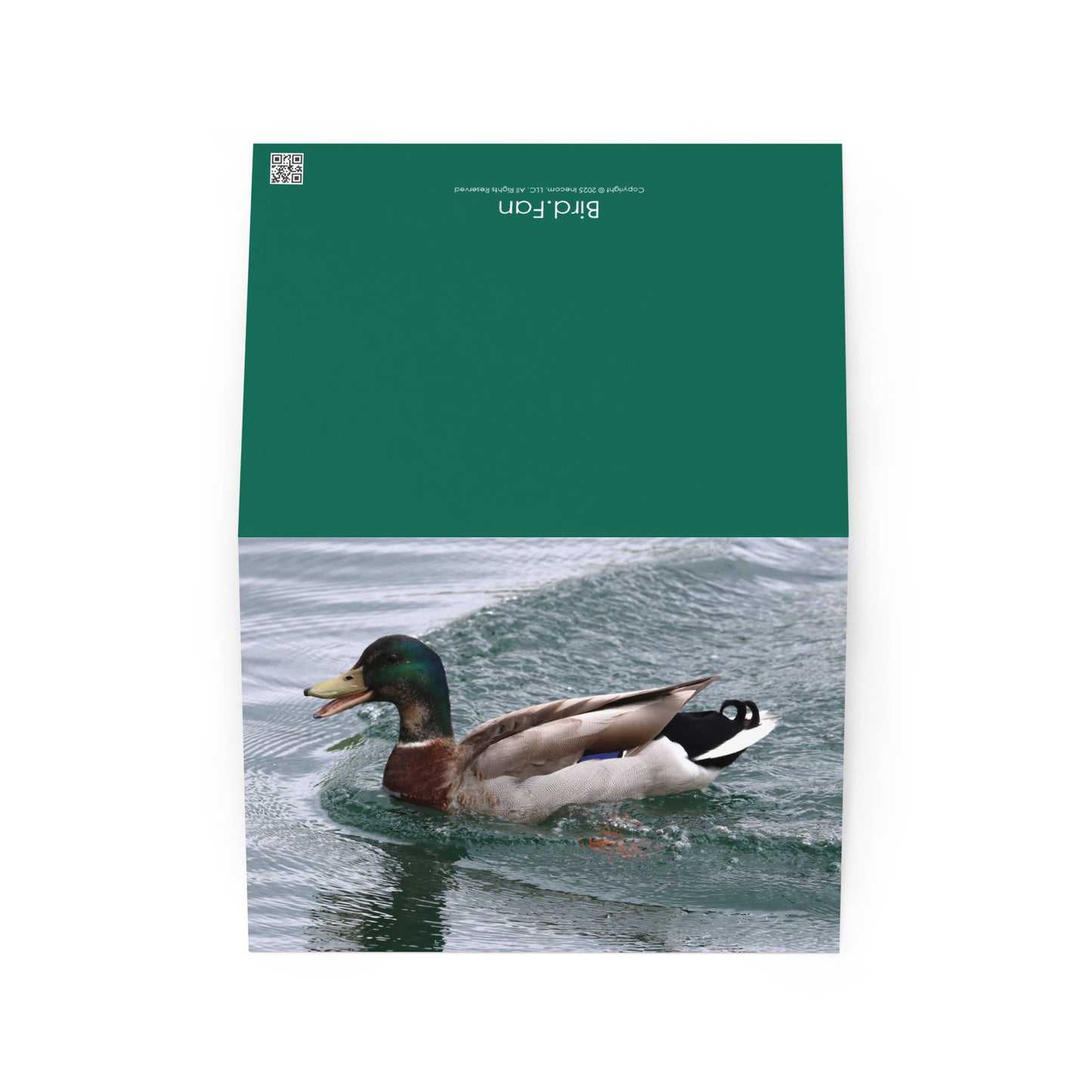 Mallard Duck Greeting Card 5" x 7" | Original Bird Photography | Wildlife Gift w/ Envelope