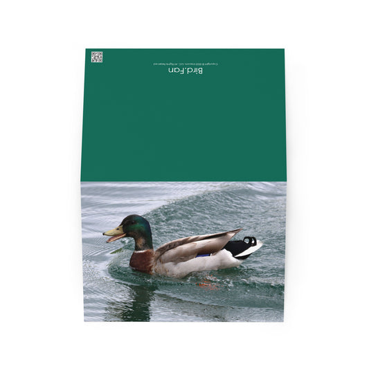 Mallard Duck Greeting Card 5" x 7" | Original Bird Photography | Wildlife Gift w/ Envelope