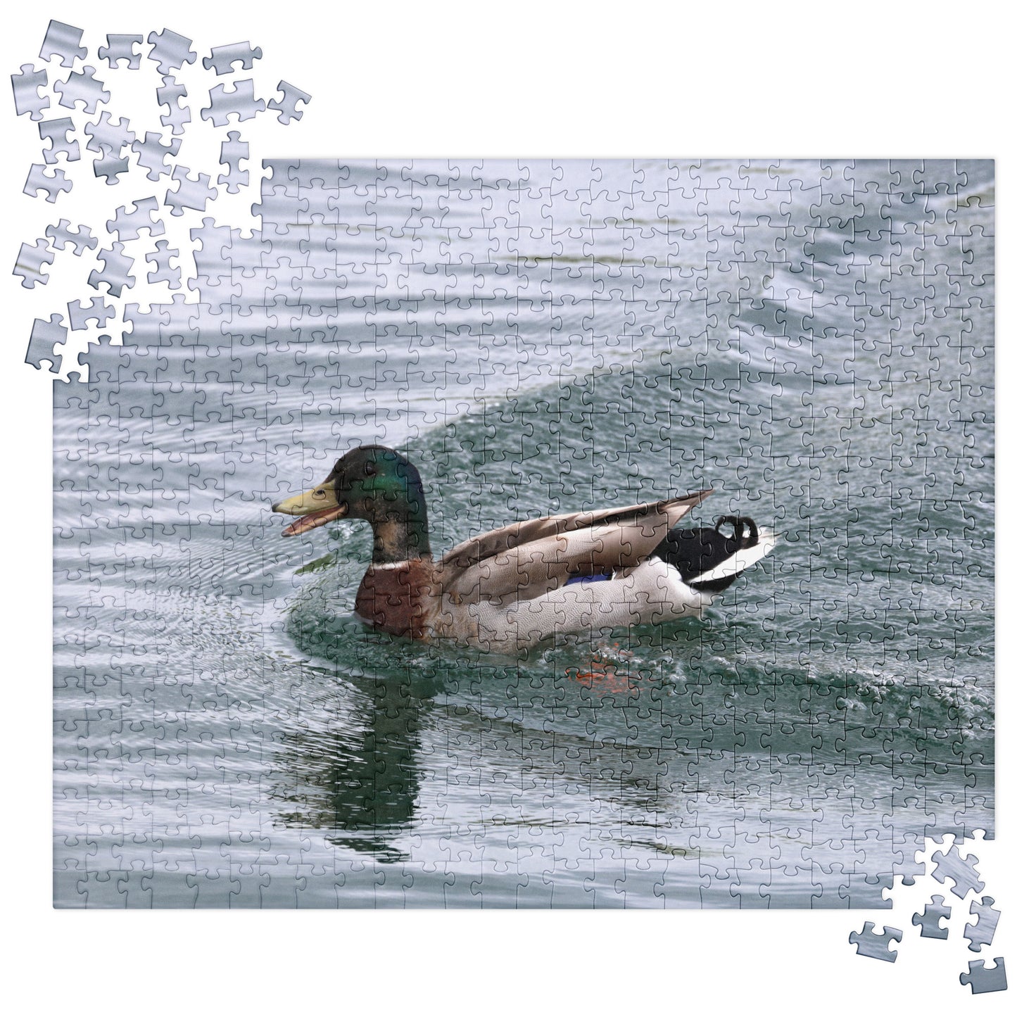 Mallard Duck 520 Piece Jigsaw Puzzle | Original Bird Photography | by Bird.Fan