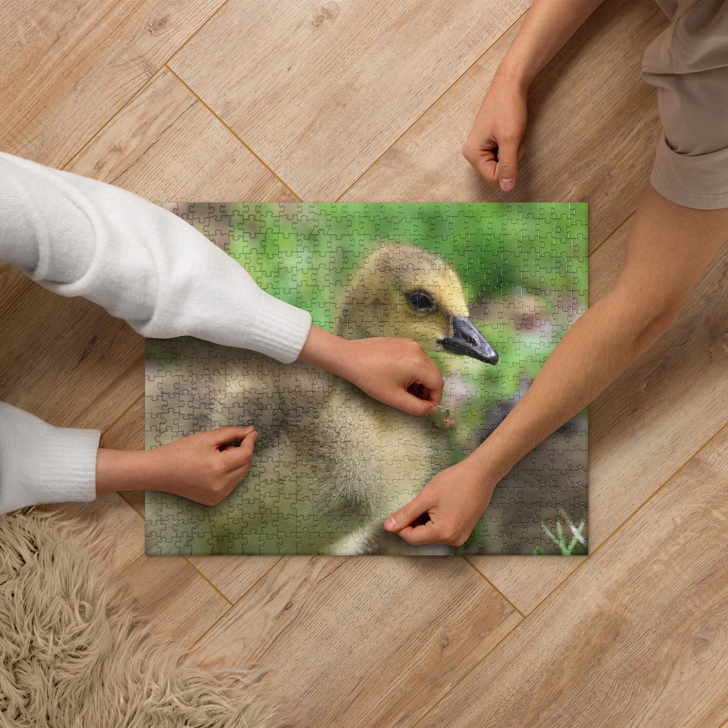 Baby Goose 520 Piece Jigsaw Puzzle | Original Bird Photography | by Bird.Fan