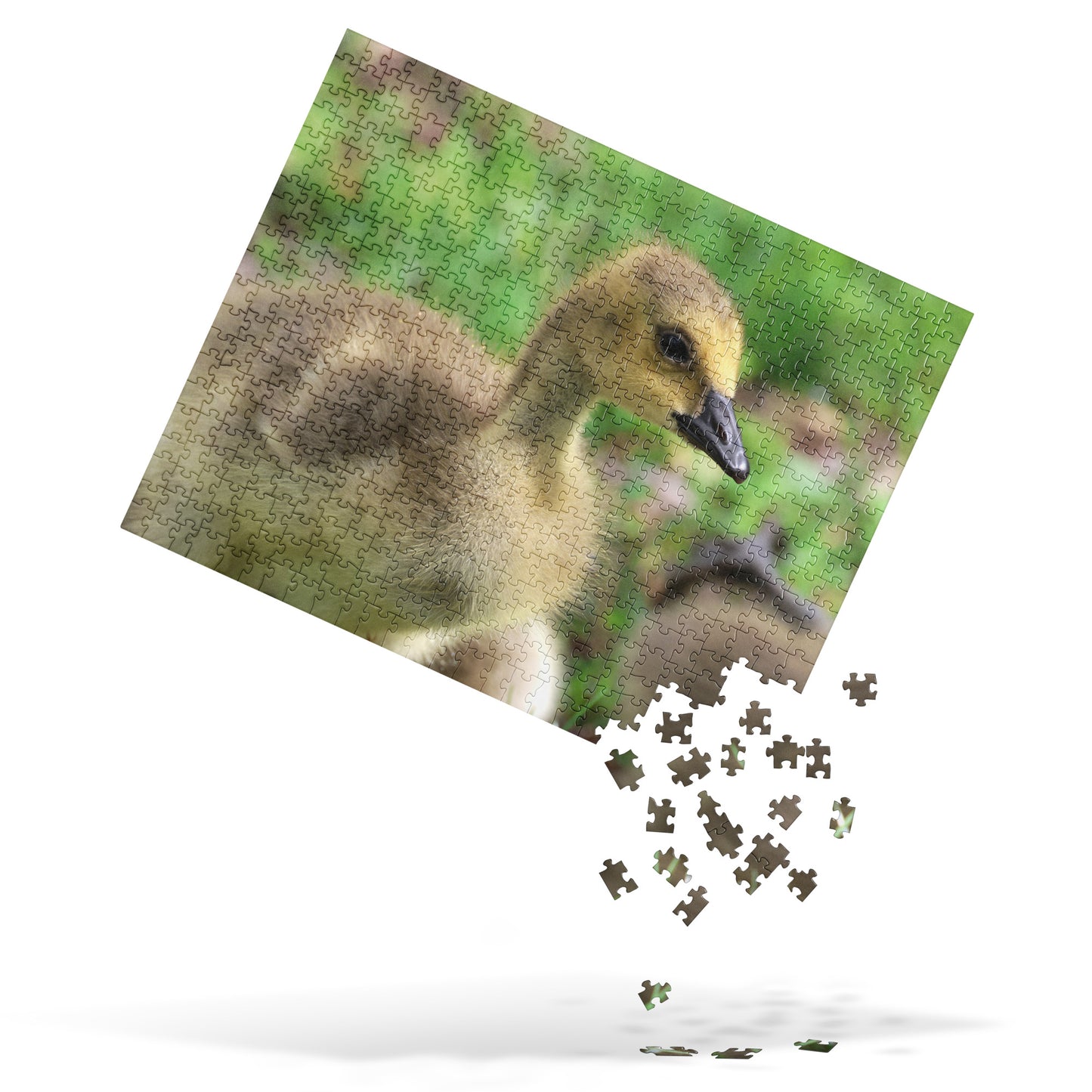 Baby Goose 520 Piece Jigsaw Puzzle | Original Bird Photography | by Bird.Fan