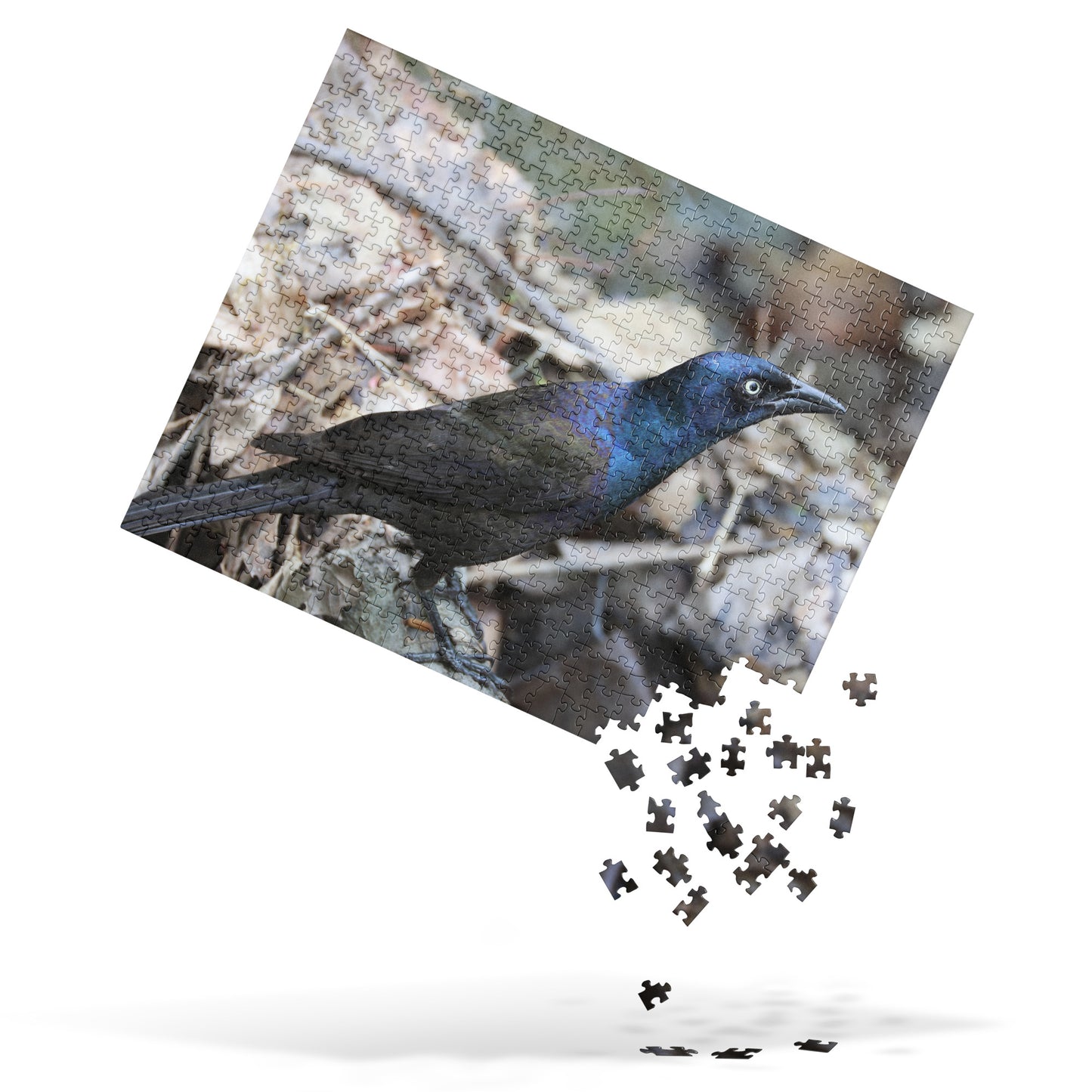 Common Grackle 520 Piece Jigsaw Puzzle | Original Bird Photography | by Bird.Fan