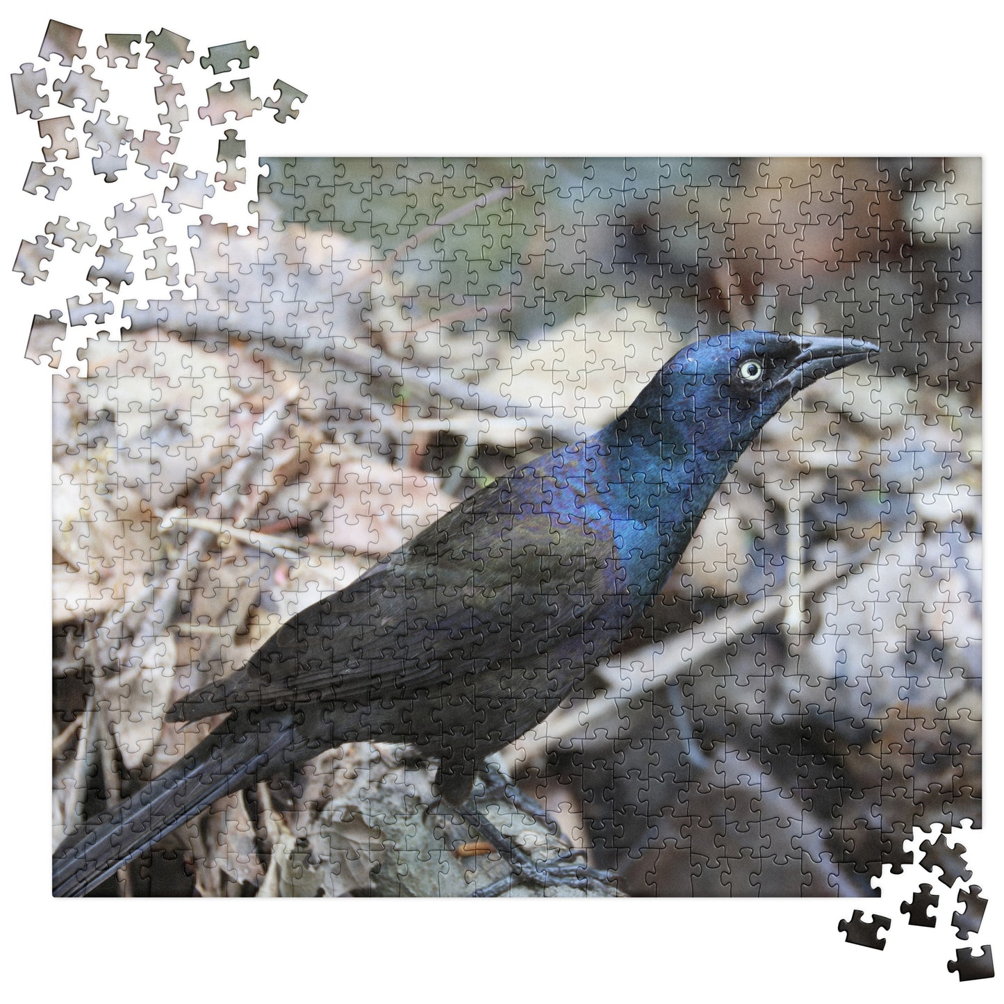Common Grackle 520 Piece Jigsaw Puzzle | Original Bird Photography | by Bird.Fan