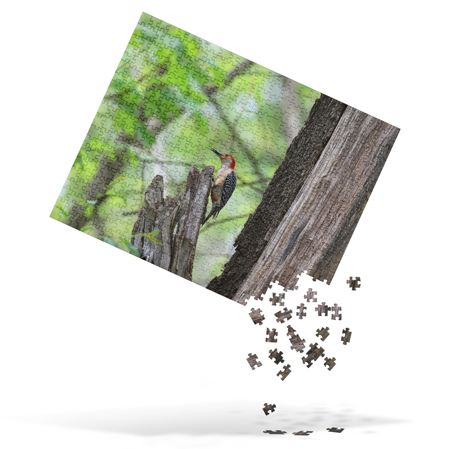 Red-Bellied Woodpecker 520 Piece Jigsaw Puzzle | Original Bird Photography | by Bird.Fan