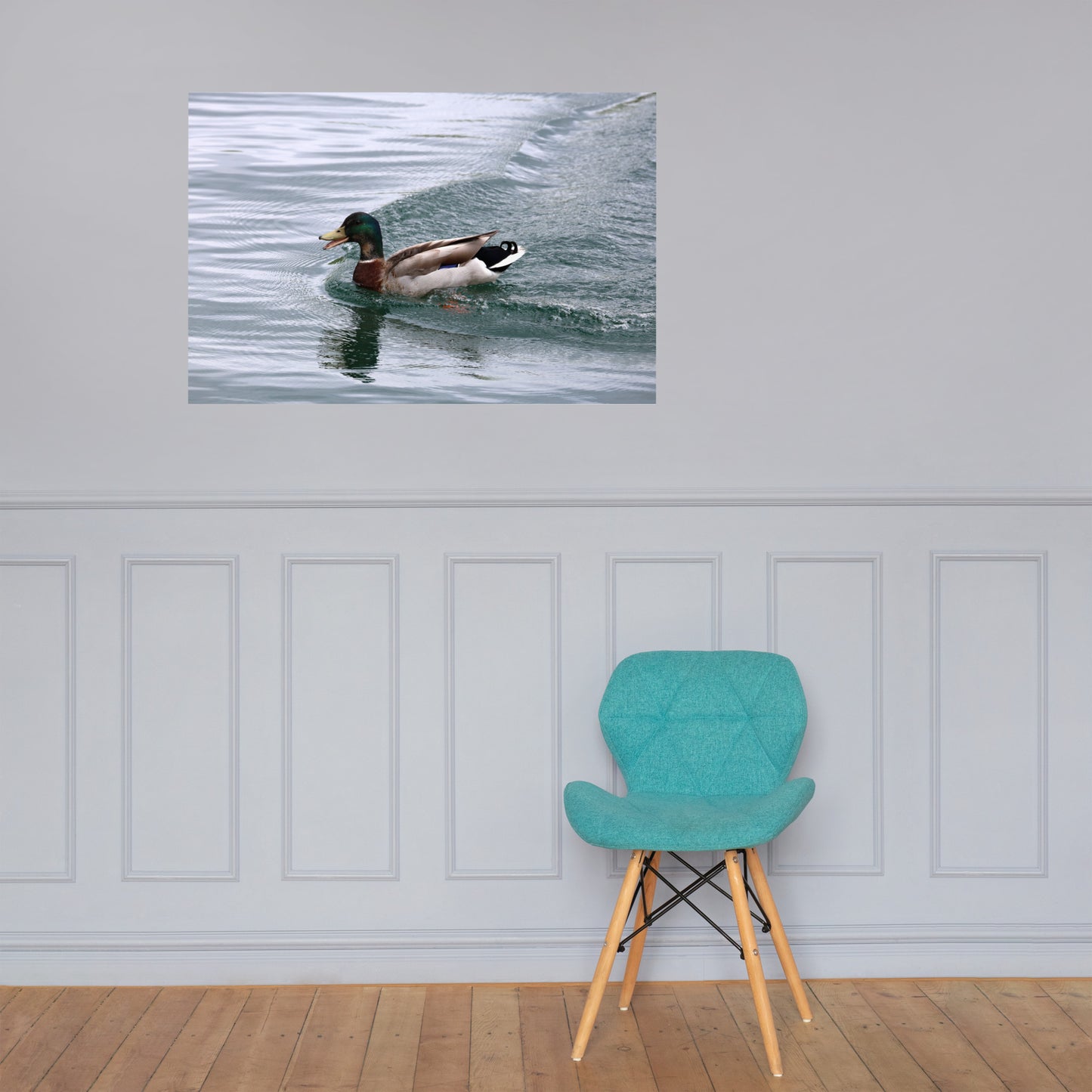 Mallard Duck Premium Photograph Poster | Original Bird Photography by Bird.Fan