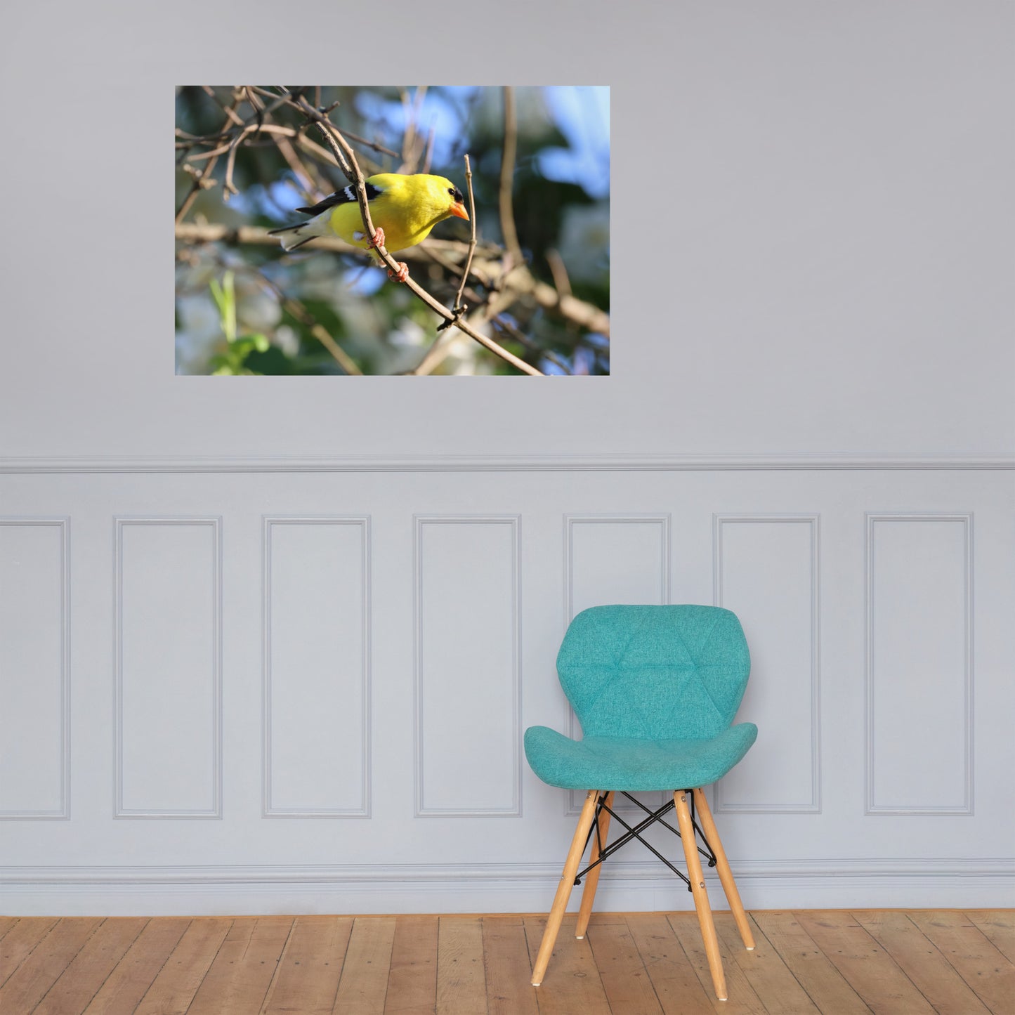 Goldfinch Premium Photograph Poster | Original Bird Photography by Bird Fantastic