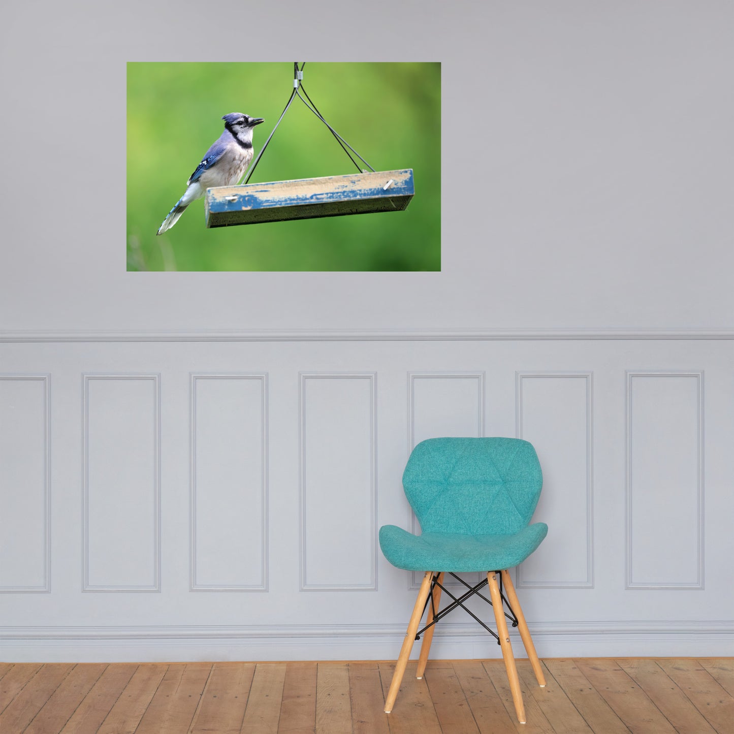 Blue Jay at Feeder Premium Photograph Poster | Original Bird Photography by Bird Fantastic